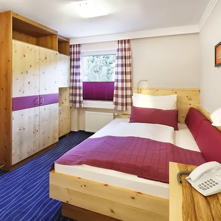 Alpina 호텔 오베르타우에른